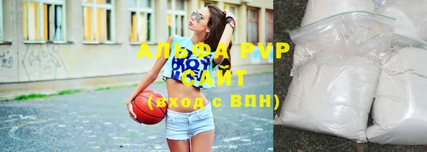 твердый Надым