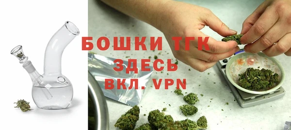 молекула духа Абинск