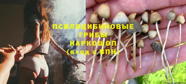 молекула духа Абинск