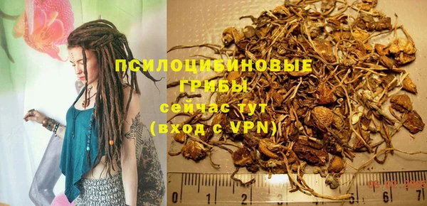 дурь Абдулино