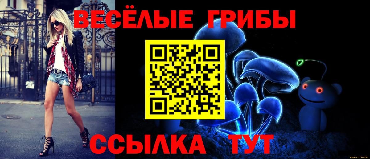 Псилоцибиновые грибы Cubensis Оренбург