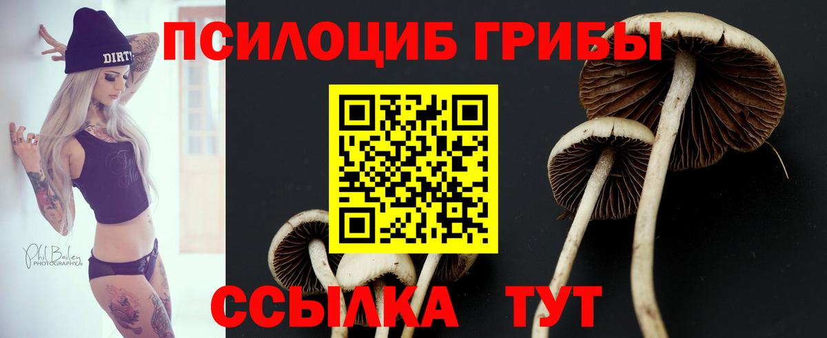 Оренбург  Псилоцибиновые грибы Cubensis  Псилоцибиновые грибы мухоморы  Вход с VPN 